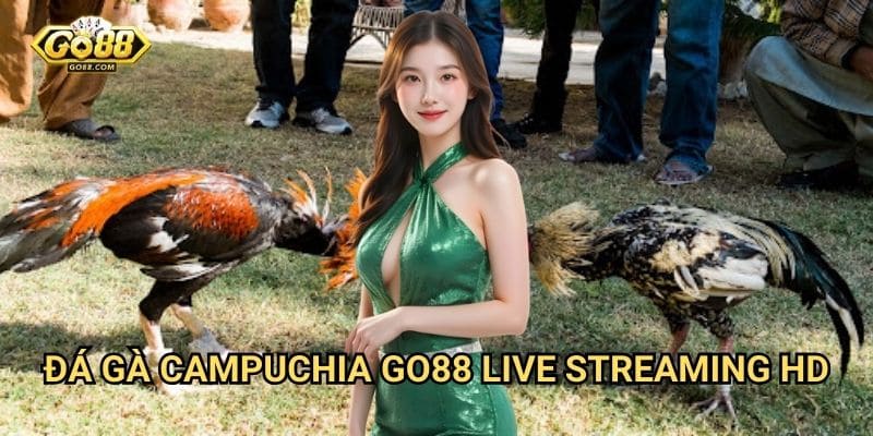 Đá gà Campuchia Go88 - Live streaming HD
