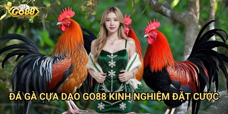 Đá gà cựa dao Go88 - Kinh nghiệm đặt cược