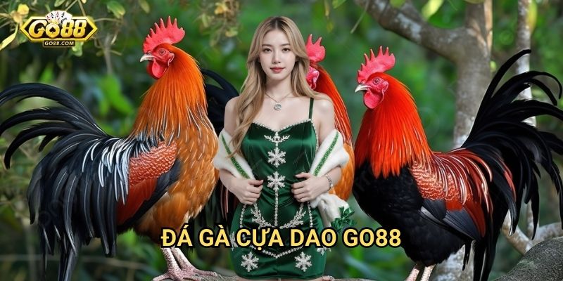 Đá gà cựa dao Go88 - Thể loại đá gà kịch tính