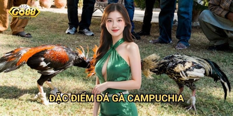 Đặc điểm đá gà Campuchia