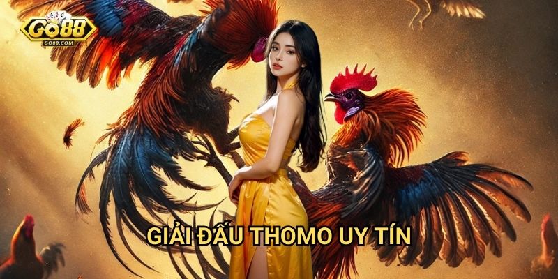 Giải đấu Thomo uy tín