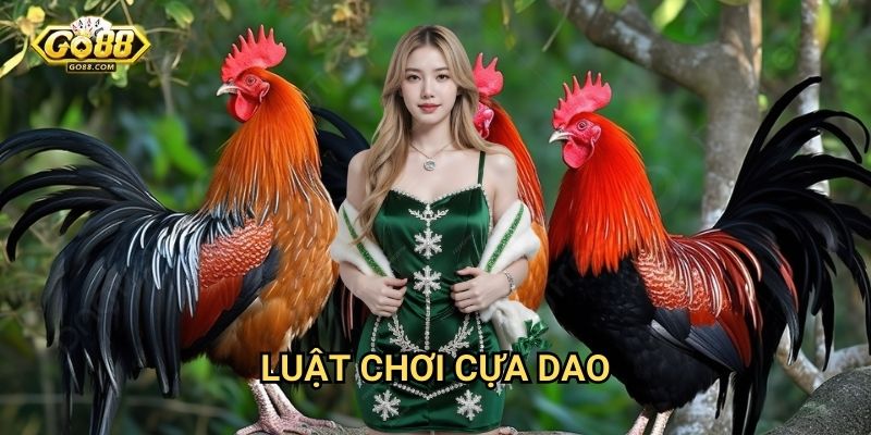 Luật chơi cựa dao